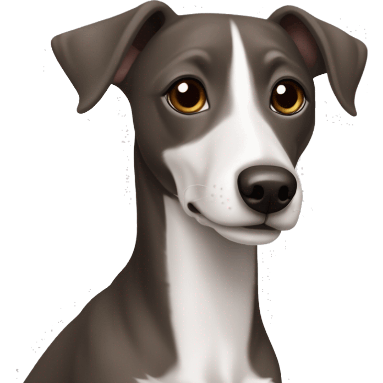 Dark Grey brown Formosa mountain dog and Italian greyhound mix no white on the face, dark brown eyes, ears up emoji