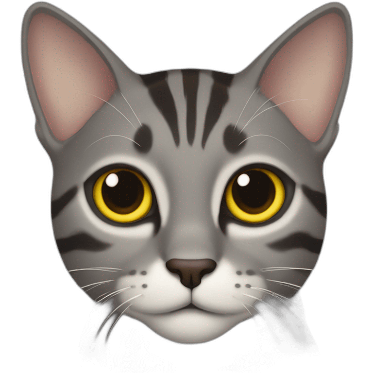 dark gray tabby cat with yellow eyes, black nose, some brown around mouth, brown around mouth, half of left ear missing emoji