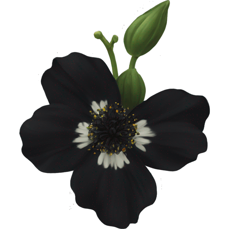  semi real Black flower emoji