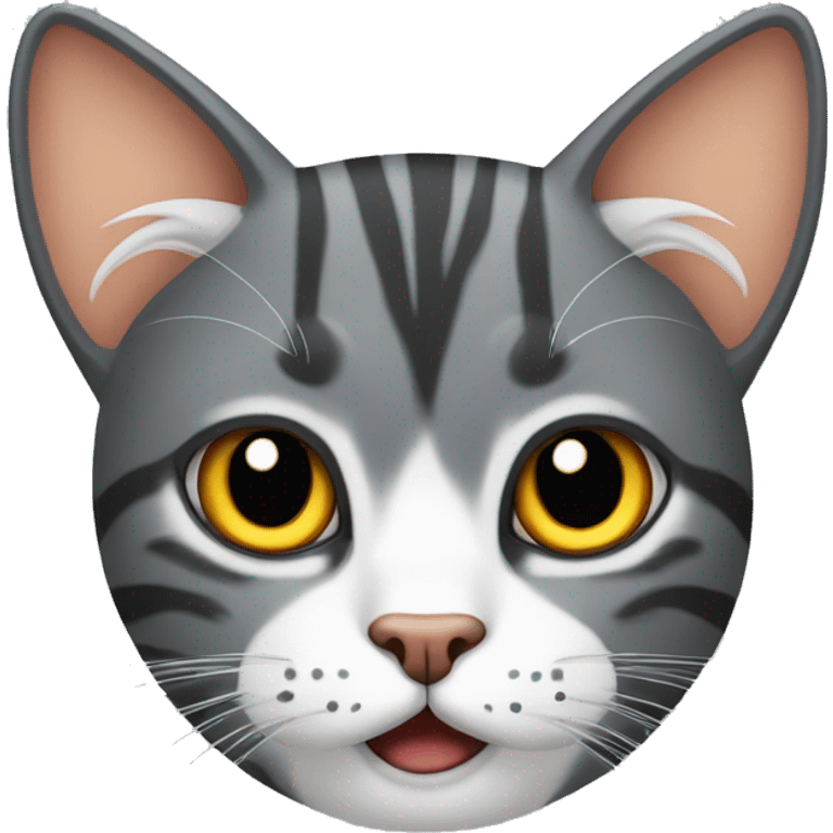 cat of the British rocker breed with a stern expression on his face emoji