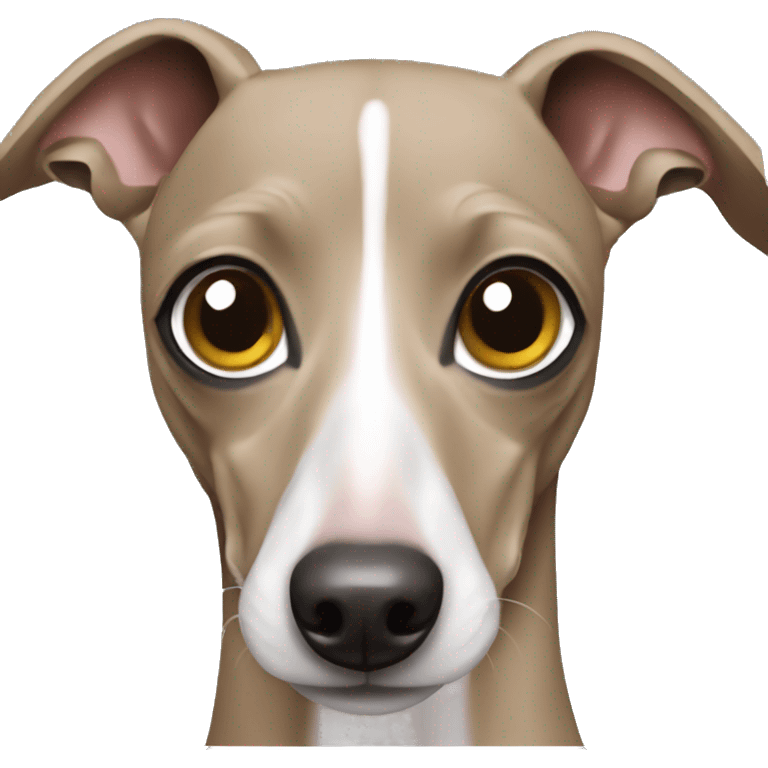 Italian greyhound  emoji