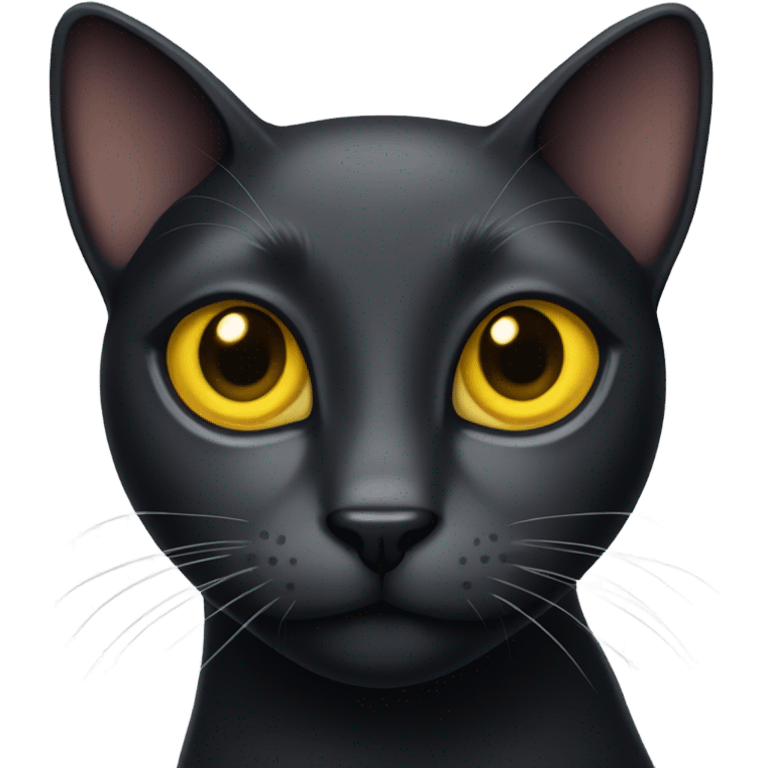 black cat emoji