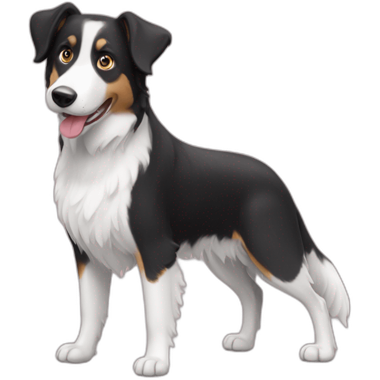 black and white short hair border collie beagle emoji