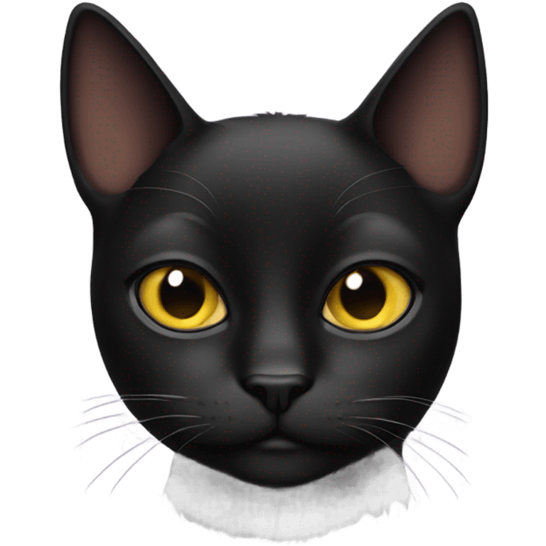 black cat doing a side eye  emoji