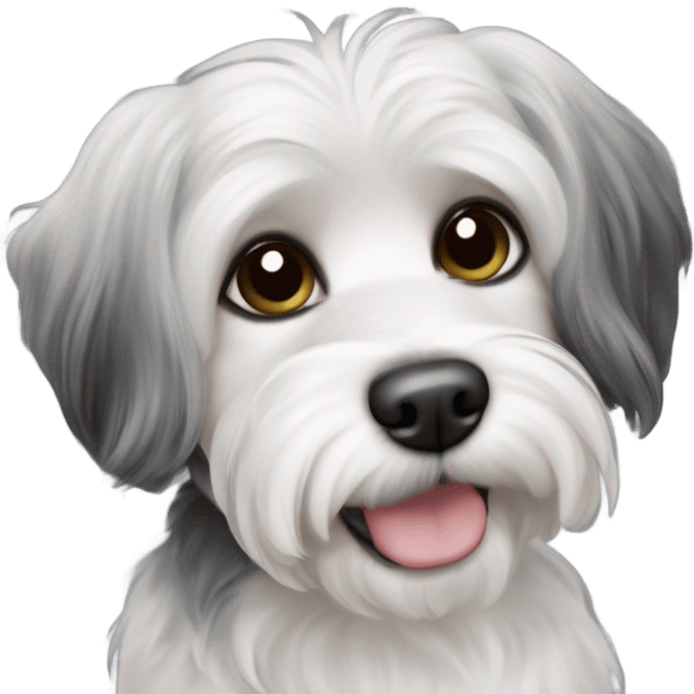 Black white and gray small havaness Maltese shi’ztu dog emoji