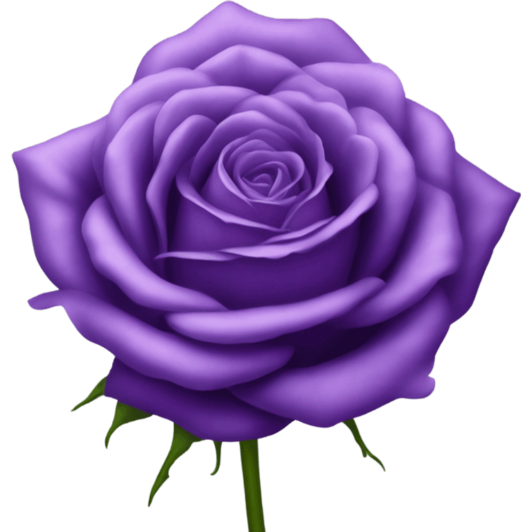 Purple rose  emoji