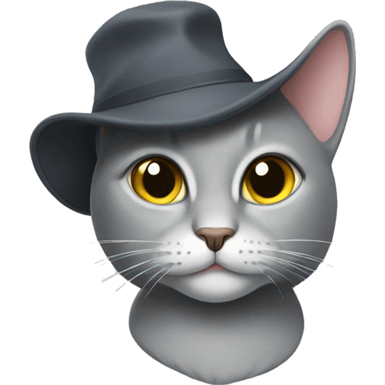 Grey cat with a hat emoji