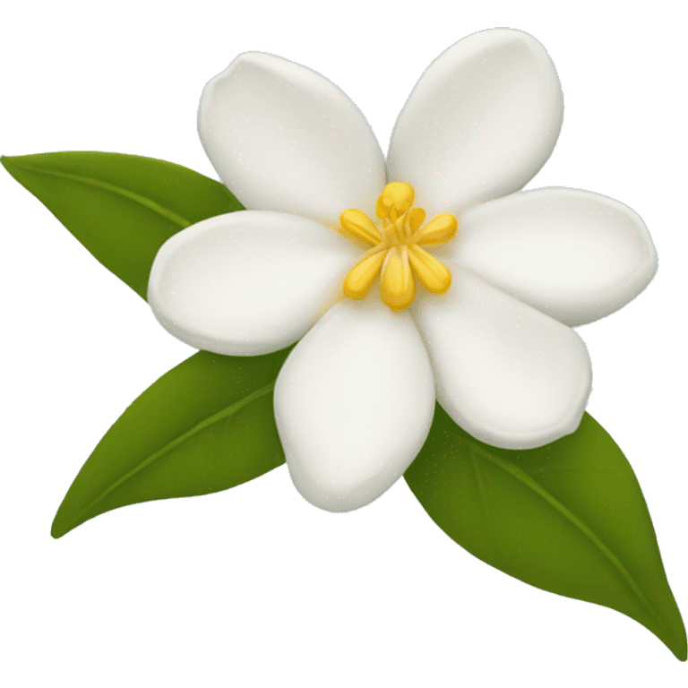  Jasmine flower with white petals and a yellow center of golden stamens emojis emoji