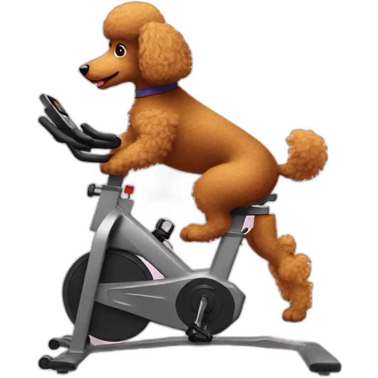 Poodle on a spin bike emoji