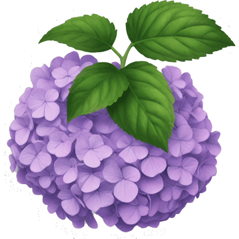 hydrangeas emoji