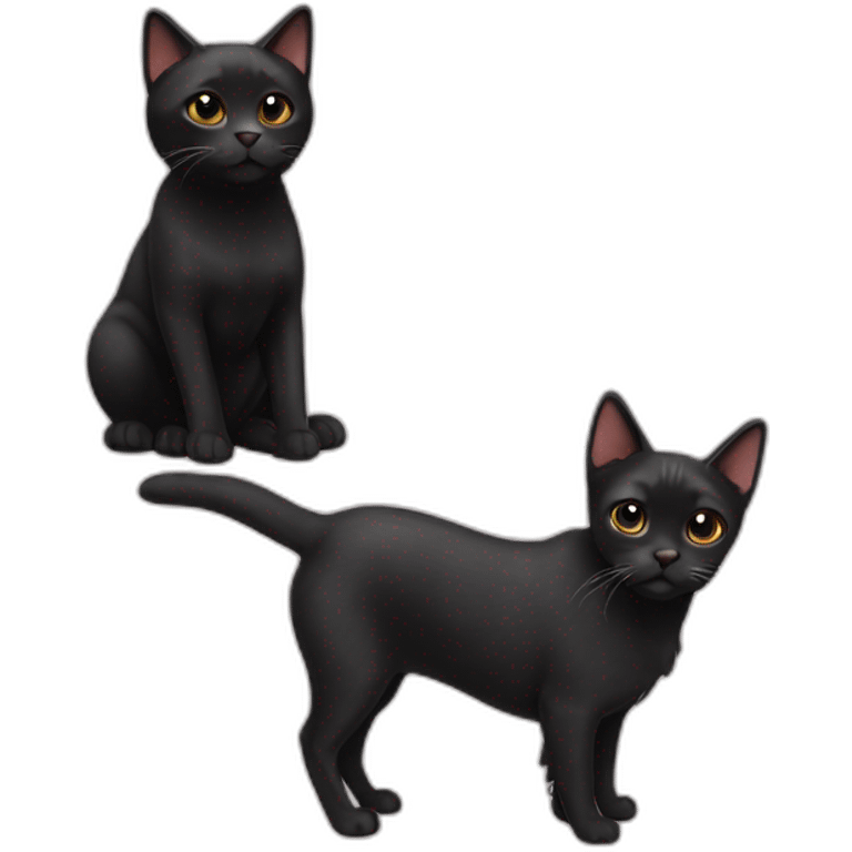 cat and black small dog emoji