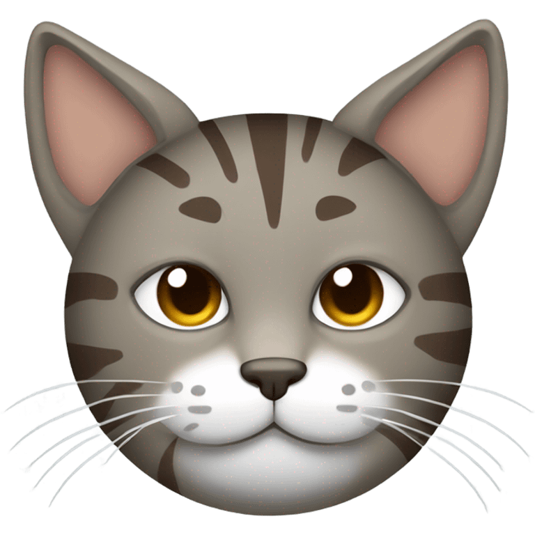 Grey and brown striped cat sleeping emoji