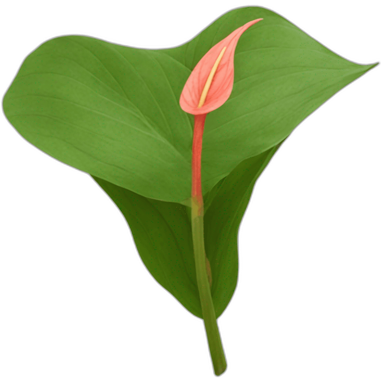 Anthurium feuille longue emoji