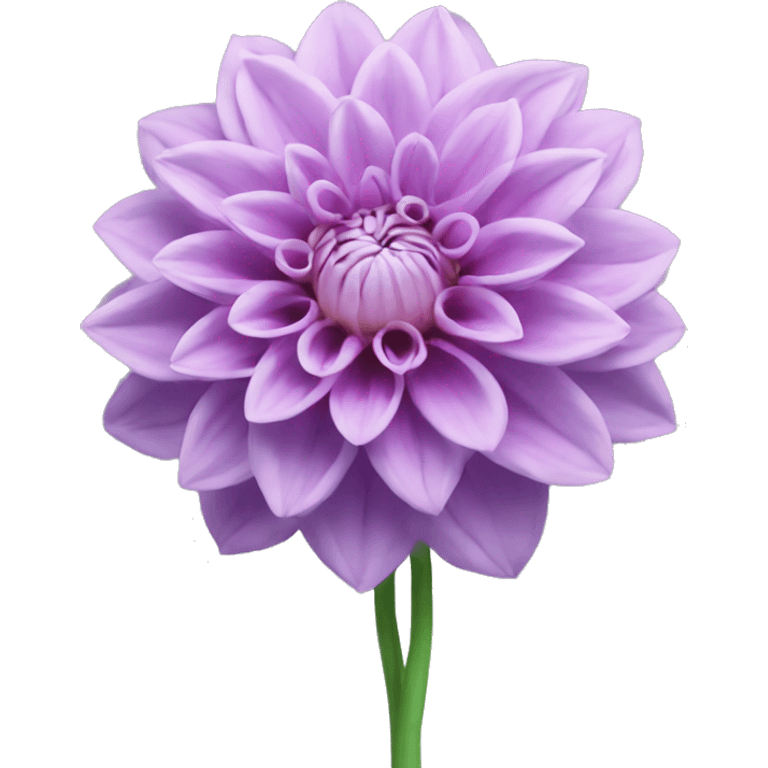 Light purple dahlia flower with green stem emoji