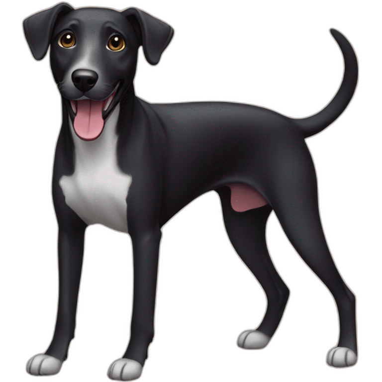 Black dog labrador whippet cross happy face  emoji