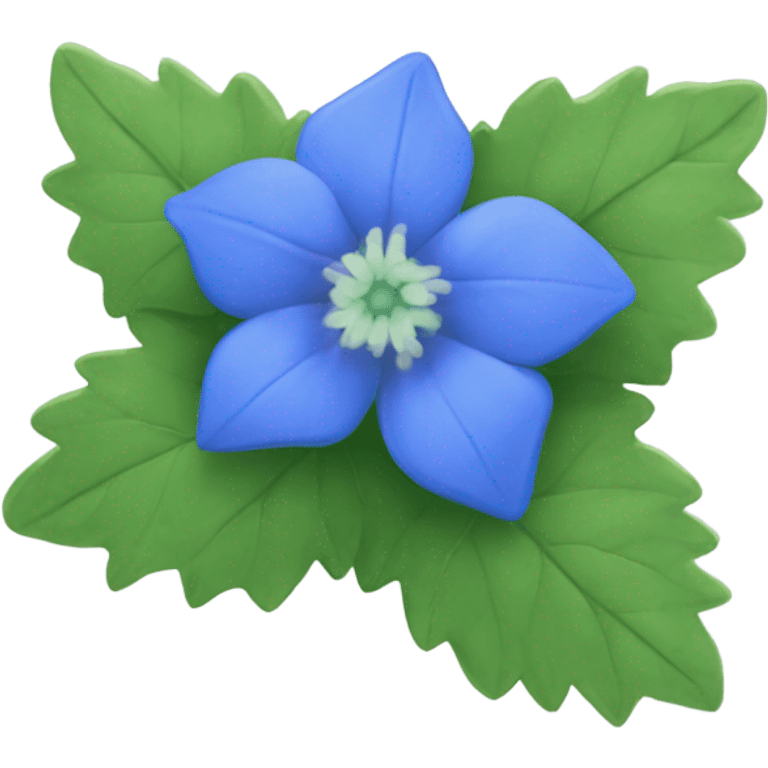 Borage plant  emoji