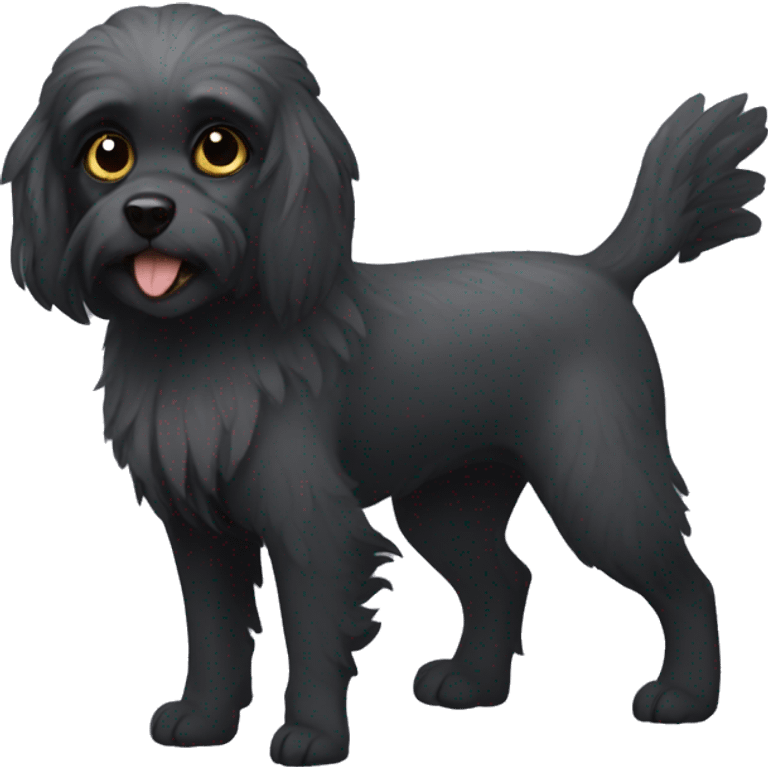 black small griffon dog with a slightly gray muzzle emoji