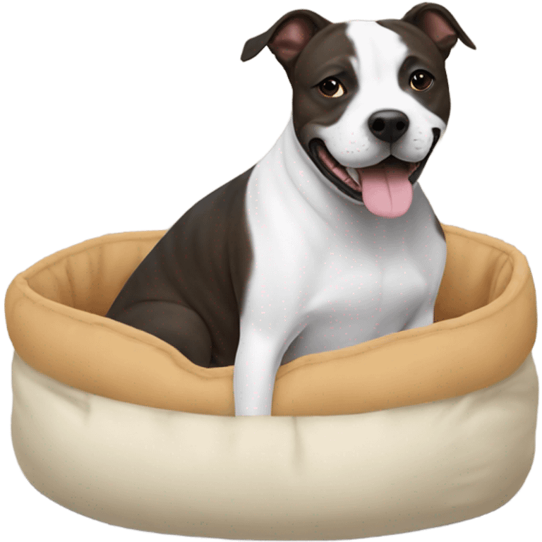 Staffie dog in small bed emoji