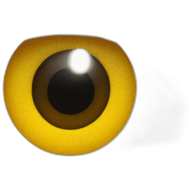 Oeil de cotè emoji