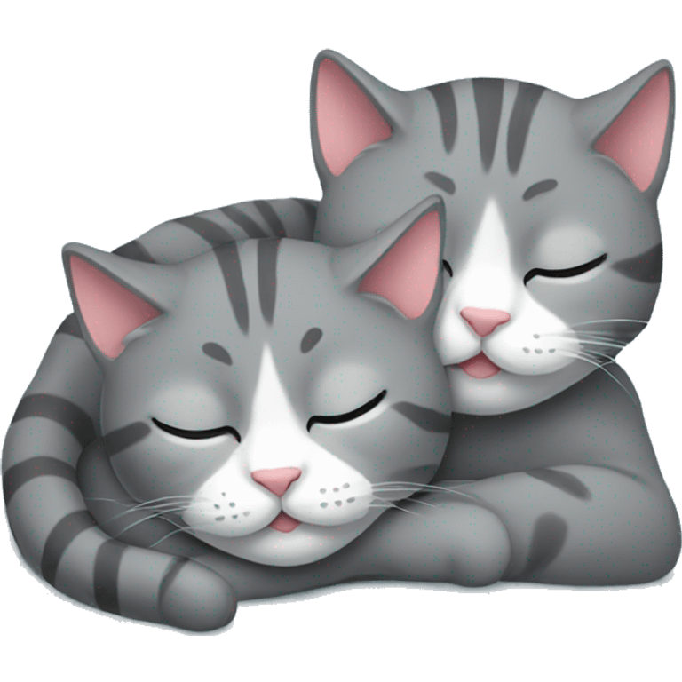 2 Gray cats sleeping emoji