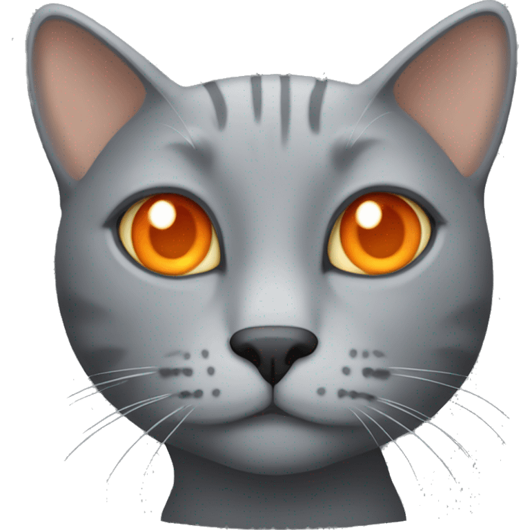 Grey cat with orange eyes  emoji