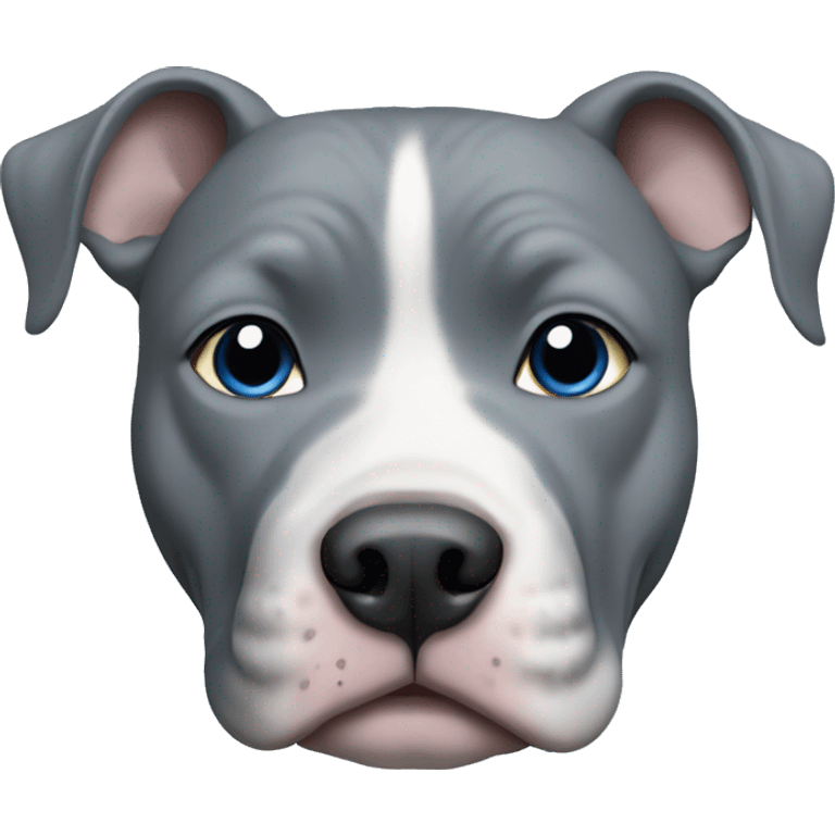 Blue nose grey pitbull with full grey face and blue eyes  emoji