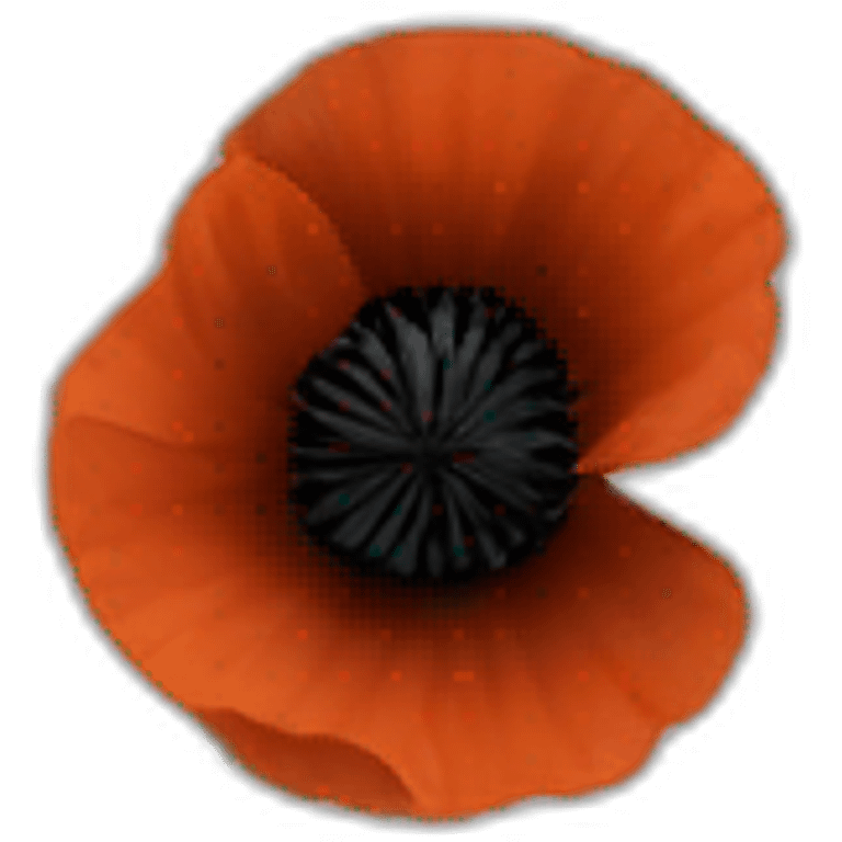 Black poppy  emoji