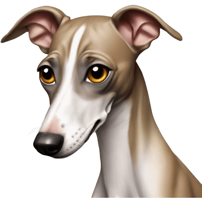 Italian greyhound drools. emoji