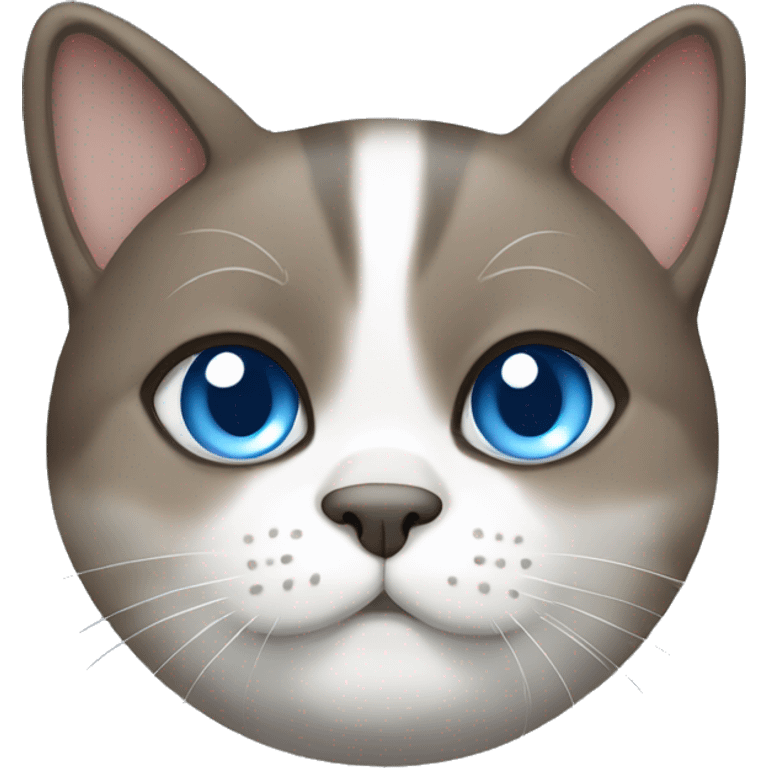 chubby blue-eyed brown grey white cat emoji