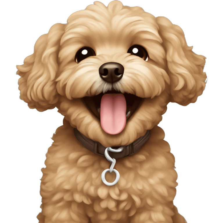 brown maltipoo laughing emoji