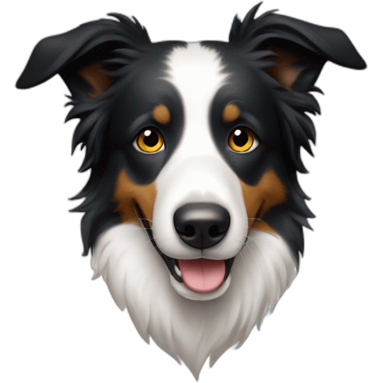 Border collie guiñando ojo emoji