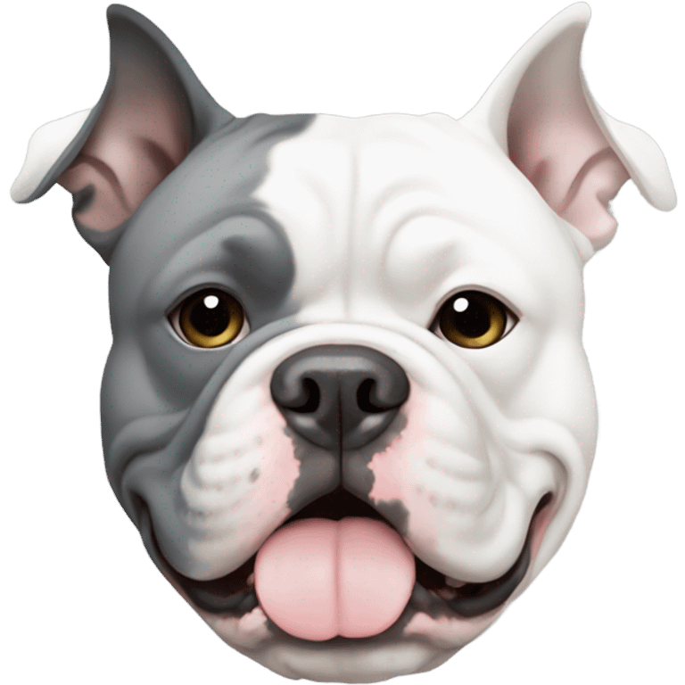 White American bully with grey patch over one eye emoji