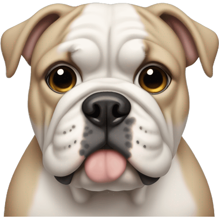 Bulldog with blue eyes and beige and white skin emoji