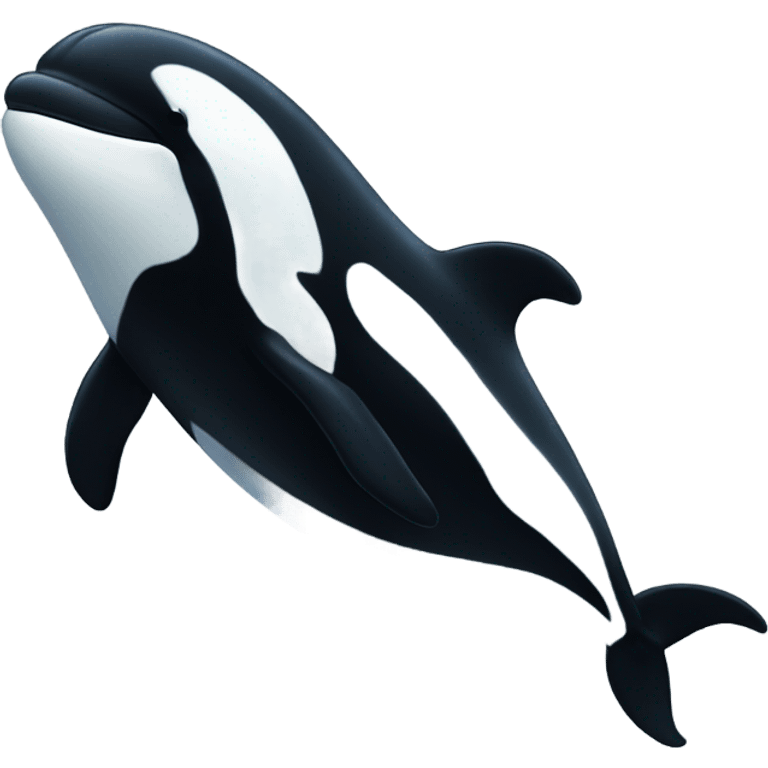 Killer Whale wearing a beanie emoji