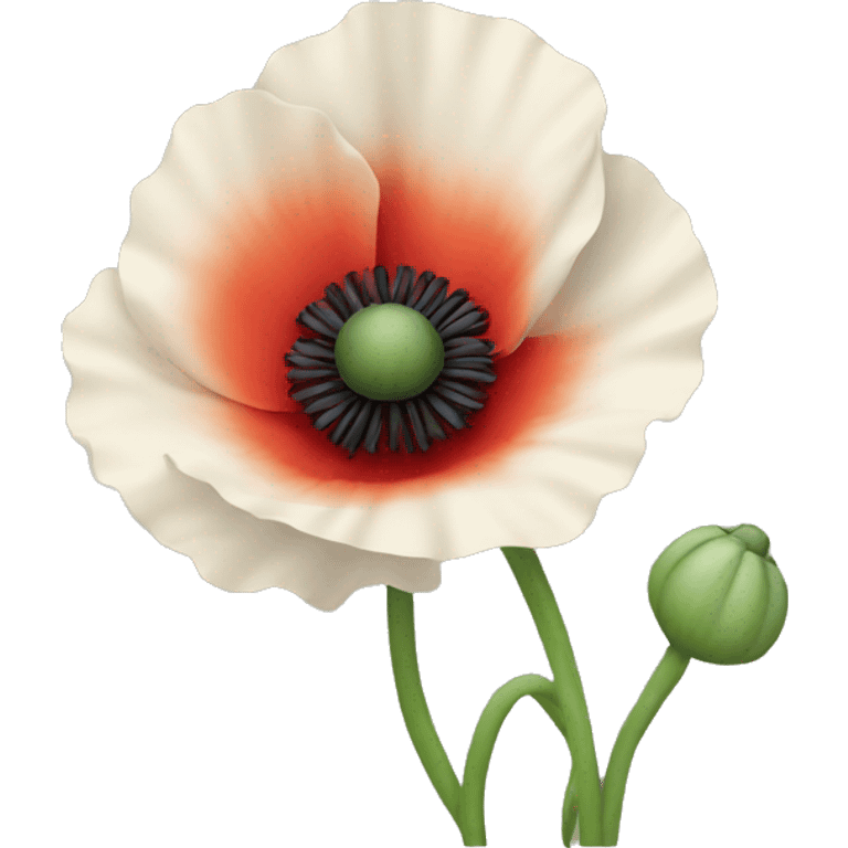 poppy flower  emoji