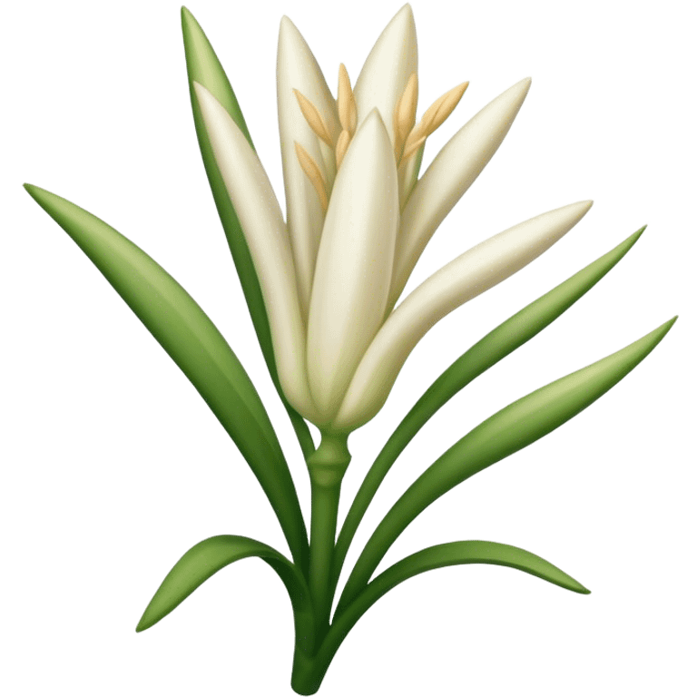 Tuberose beautiful finish emoji