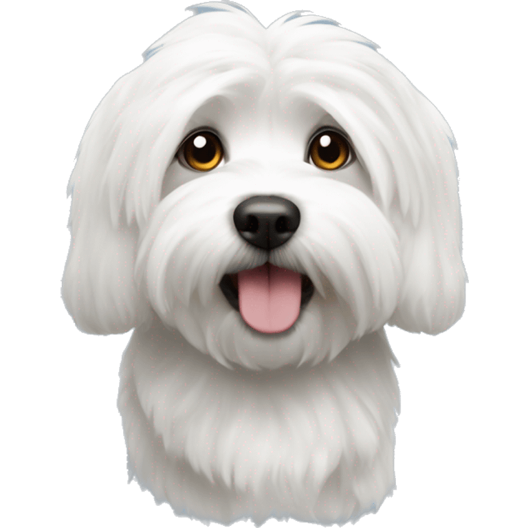 coton de tulear emoji