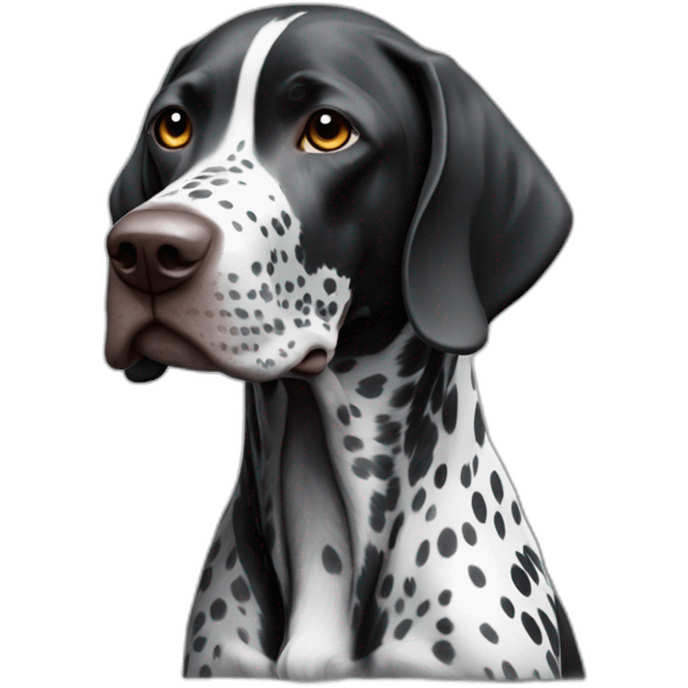 black german shorthair pointer, full black head, without white on the head, with white hair on the snout, black and white spotted body emoji