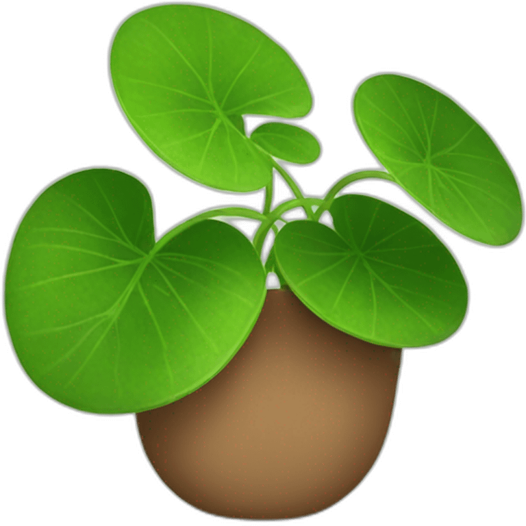 pilea emoji