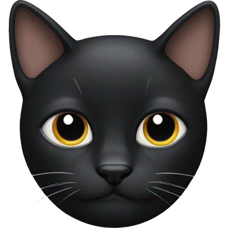 black cat with white mustache  emoji