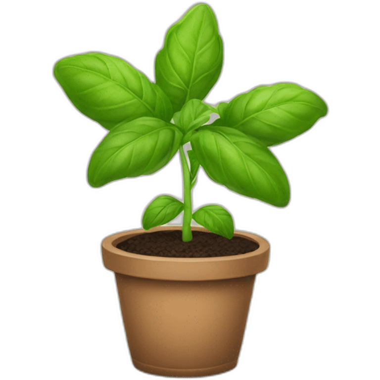 A happy Basil plant emoji