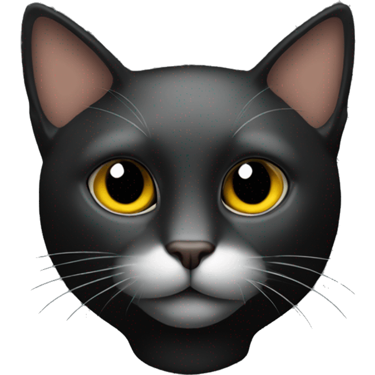 black background with a cat head transparent emoji