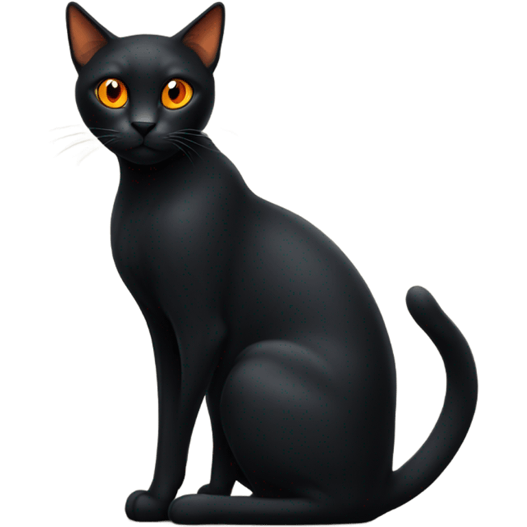 Black cat with orange eyes  emoji