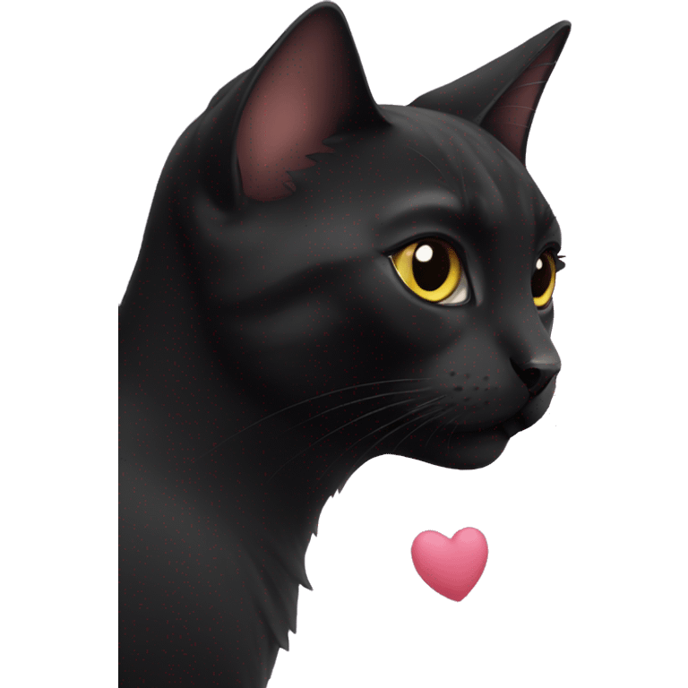 Black cat with heart emoji