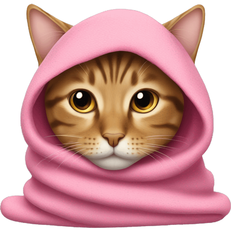 tabby cat with pink blanket over head  emoji