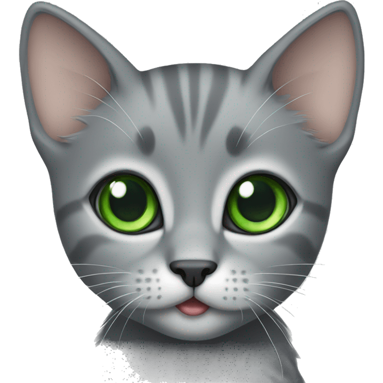 full grey kitten with green eyes  emoji