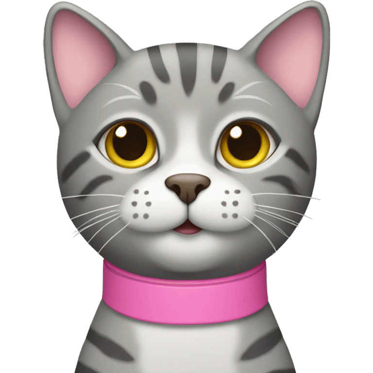 Grey tabby cat with a pink collar emoji