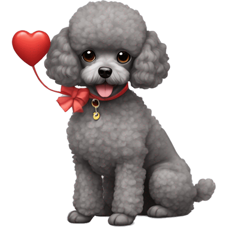 Grey mini teacup poodle with a red toy poodle  emoji