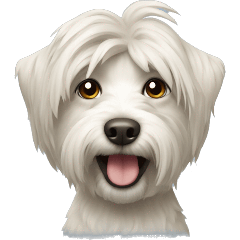 Tibet Terrier  emoji