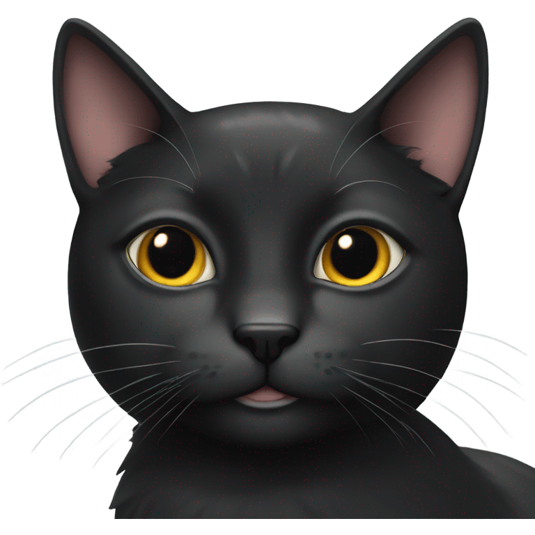 Black cat with a white spot on the forehead emoji